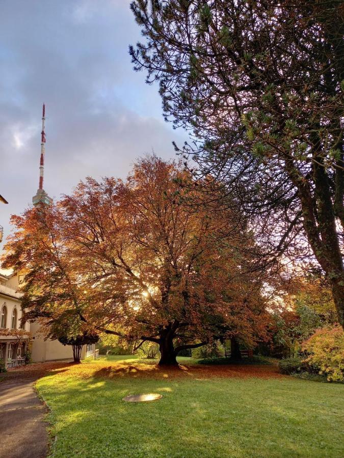 Chrischona Berg Hotel Bettingen Kültér fotó